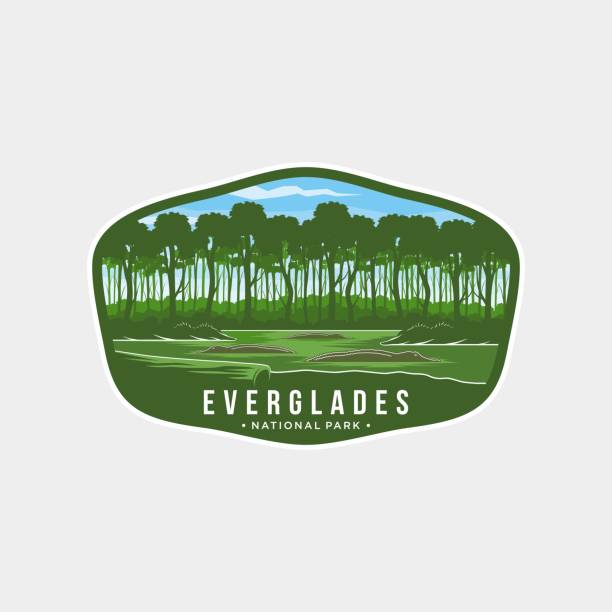 Everglades National Park Emblem patch icon illustration Everglades National Park Emblem patch icon illustration everglades national park stock illustrations