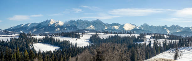 Wide winter panorama of Tatra Mountains stock photo