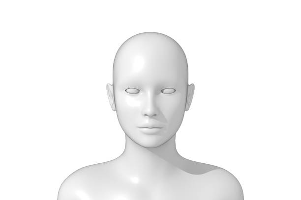 istock Woman, Human Female Head, 3D 1353466537