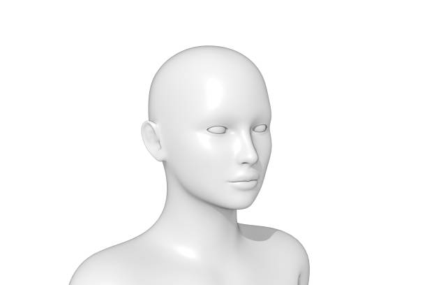 istock Woman, Human Female Head, 3D 1353466538