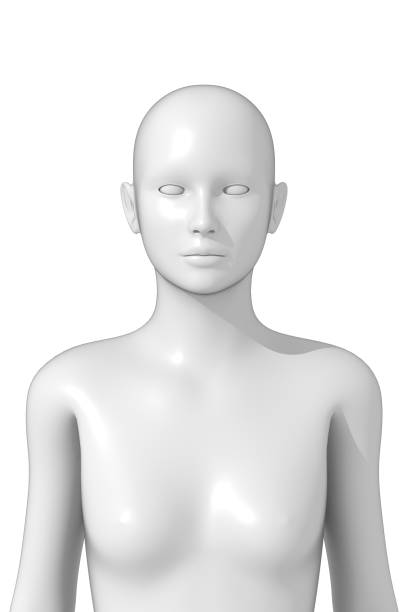 istock Woman, Human Female Body, 3D 1353466552