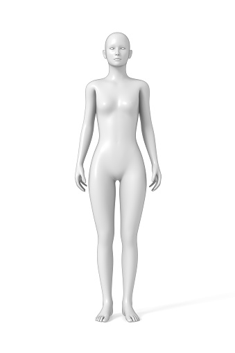 3D model of woman’s body. Isolated on white background.