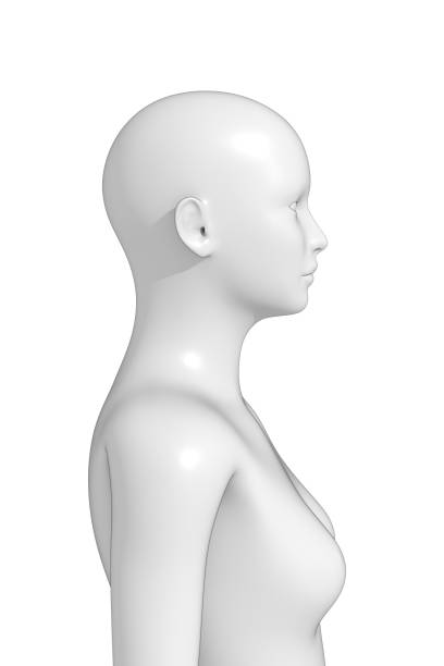 istock Woman, Human Female Body, 3D 1353466572