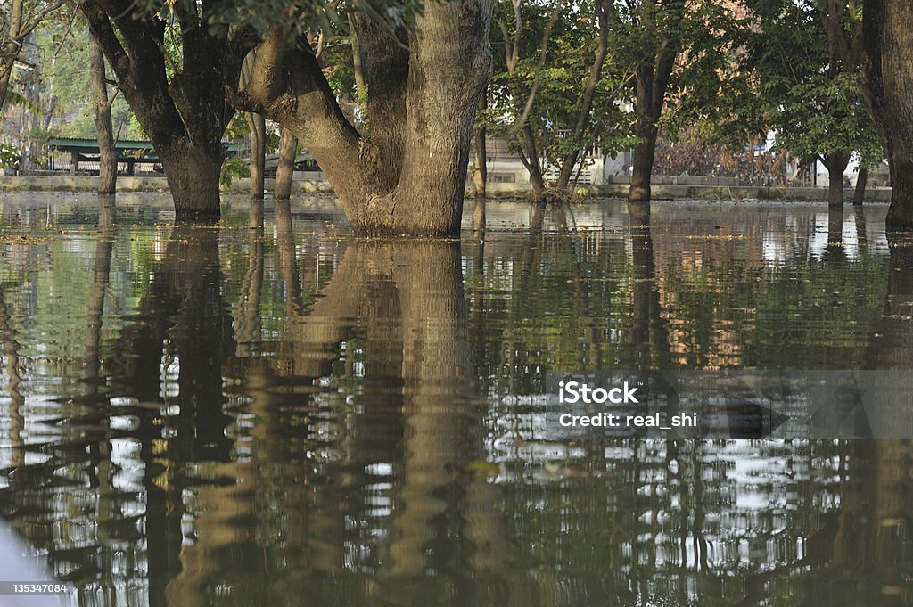 Inondazioni Wat Chaiwatthanaram novembre 2011 in Tailandia - Foto stock royalty-free di Ayuthaya