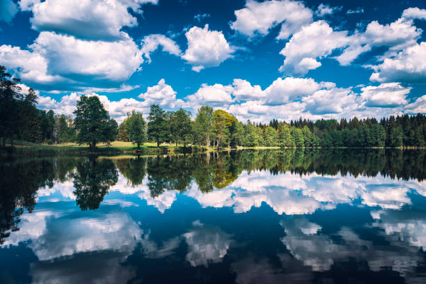 la superficie serena del lago con un riflesso di nuvole e alberi. lago seliger. russia - spring forest scenics reflection foto e immagini stock