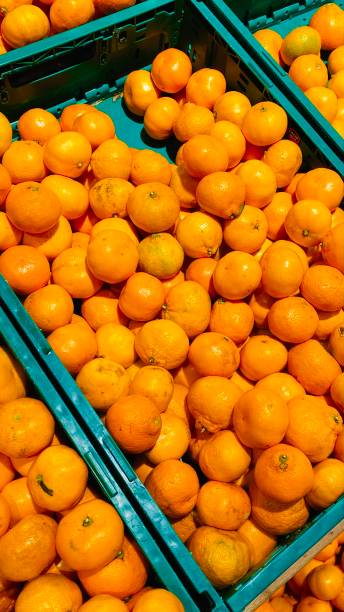 istock Fresh tangerines in the store 1353476705