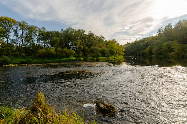 istock River flowing through the autumn forest. Autumn forest 1353476991
