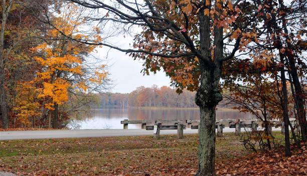 istock Harmonie State Park and area Indiana 1353478381