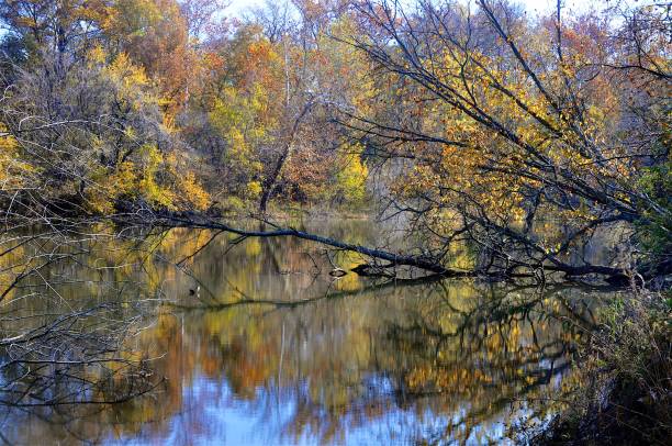 istock Harmonie State Park and area Indiana 1353478397