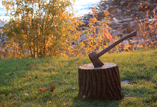 A wood axe stuck in a stump by a cottage by a lake.