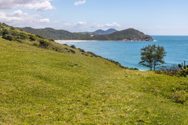 istock Trail to the beach with farm field 1353478522
