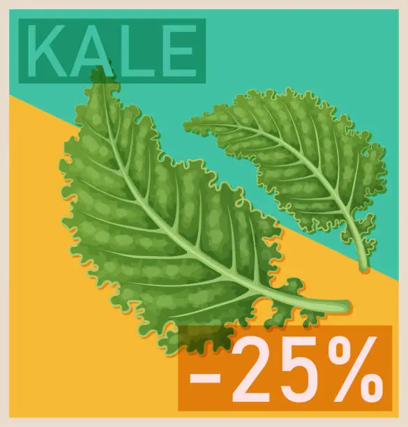 Vector illustration of Green kale leaves icon. Healthy food illustration. Cartoon vector design graphic for supermarket promo