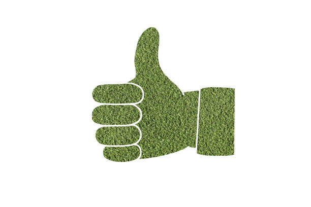 herbe verte ou pelouse comme symbole d’icône similaire, pouce levé.  signe écologique, comme bouton isolé sur fond blanc. élément de conception - hand sign human hand ok sign grass photos et images de collection
