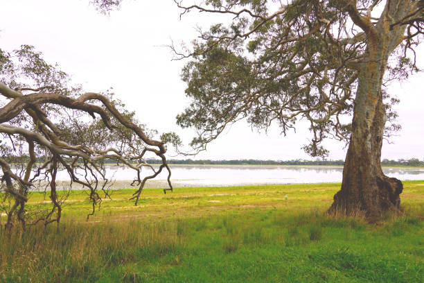 istock Edenhope,  Wimmera, Victoria, Australia 1353481456