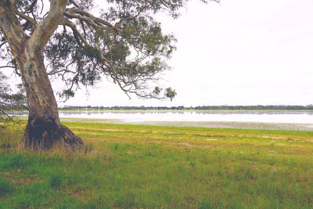 istock Edenhope,  Wimmera, Victoria, Australia 1353481544