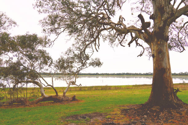istock Edenhope,  Wimmera, Victoria, Australia 1353481577