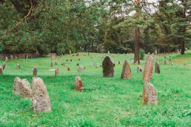 Photo of Ancient Jewish cemetery in Druya, Belarus. Stones with inscriptions