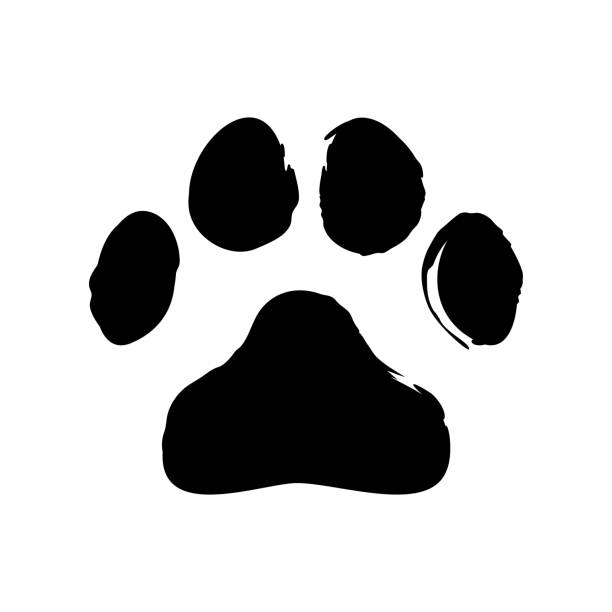 얼룩진 고양이 발자국. 깨끗한 표면에 더러운 거리 후 고양이의 발 - paw print stock illustrations