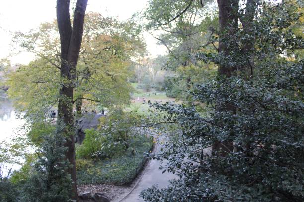 istock Central Park New York City 1353486544