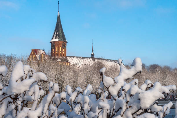 Kaliningrad Cathedral. The historical center of the city. The grave of Immanuel Kant. The Cathedral of Our Lady and St. Adalbert. stock photo