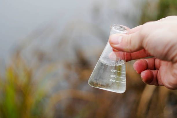 inspector sosteniendo un matraz químico con agua de río. pruebas de agua para infecciones. - cholera bacterium fotografías e imágenes de stock