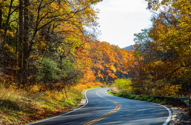 Skyline Drive in Shenandoah Park in autumn Skyline Drive in Shenandoah Park in autumn skyline drive virginia photos stock pictures, royalty-free photos & images