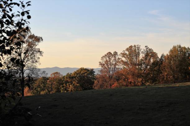 autumn trees and the blue ridge mountains in fall