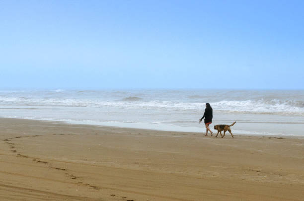 woman with dog strolling along the seashore