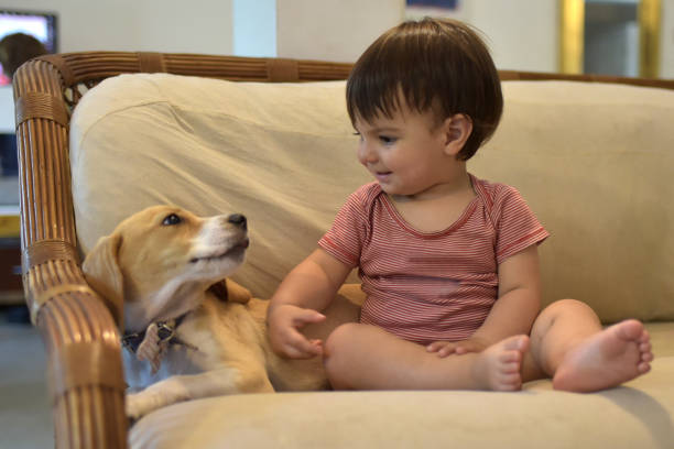 istock child with your pet 1353495526