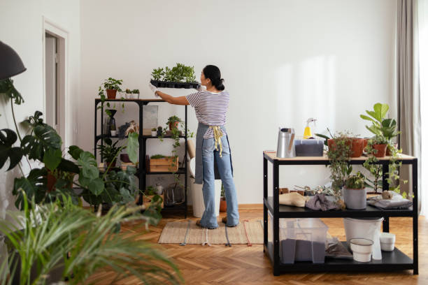istock Indoor Garden: Woman Placing Repotted Plants on the Shelf 1353496594