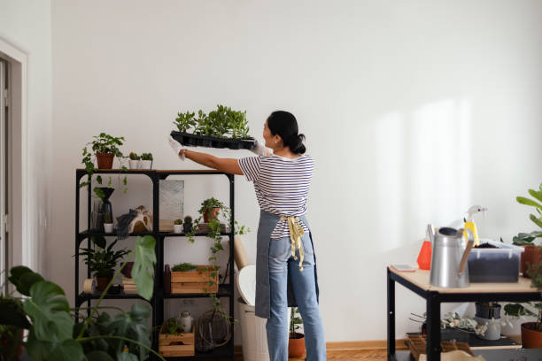istock Indoor Garden: Woman Placing Repotted Plants on the Shelf 1353496595