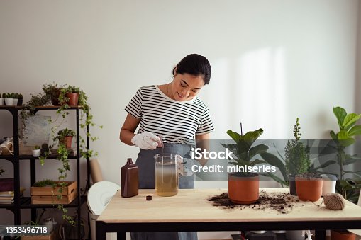 istock Indoor Garden: Happy Asian Woman Mixing Plant Fertilizer with Water in a Bowl 1353496718