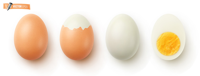 Vector realistic illustration of boiled eggs on a white background.