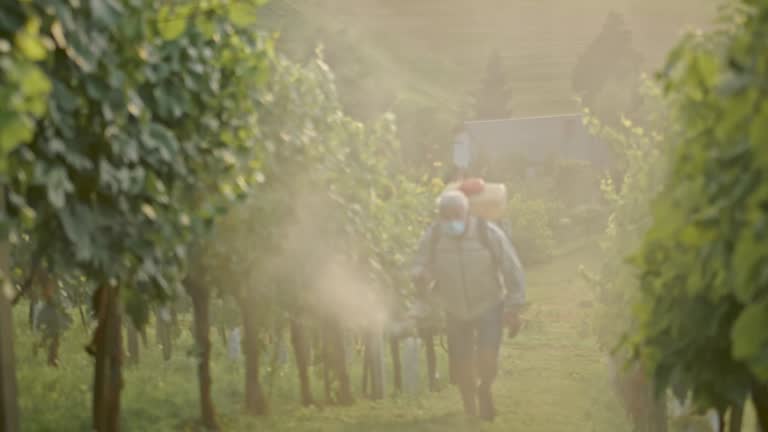 SLO MO Farmer sprays pesticides in the vineyard