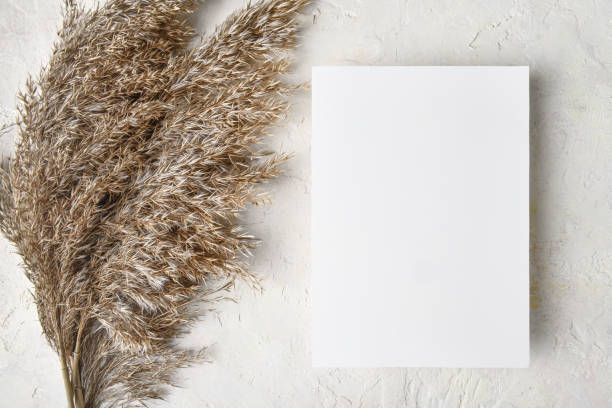 istock White invitation card mockup with a pampas grass decoration. 5x7 ratio 1353502087