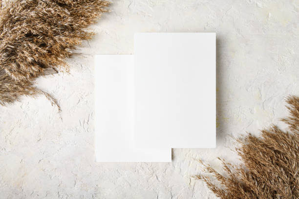 istock Two white invitation card mockup with a pampas grass decoration 5x7 1353502089