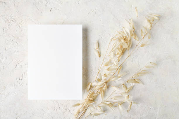 istock White invitation card mockup with a dry grass decoration. 5x7 ratio 1353502091