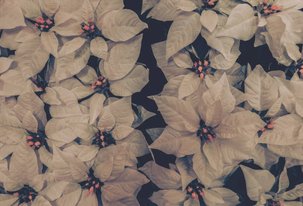 istock Beautiful Artificial Flowers Background, Vintage style; 1353505612