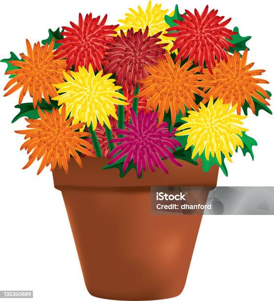 Multicoloridas Em Uma Panela De Barro Crisântemos - Arte vetorial de stock e mais imagens de Vaso de Flor - Vaso de Flor, Crisântemo, Outono