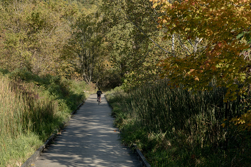 Woman Biking on Wooden Decking on Towpath