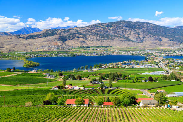 istock Osoyoos Lake Okanagan Valley Landscape 1353512943