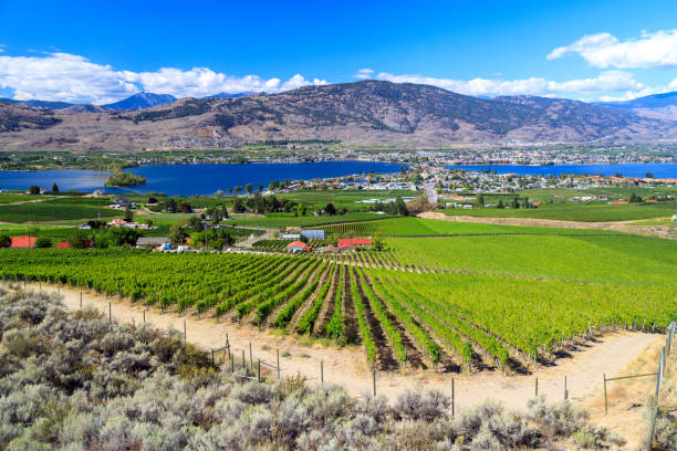 istock Osoyoos Lake Okanagan Valley Landscape 1353513018