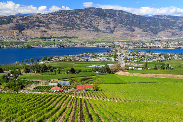istock Osoyoos Lake Okanagan Valley Landscape 1353513090