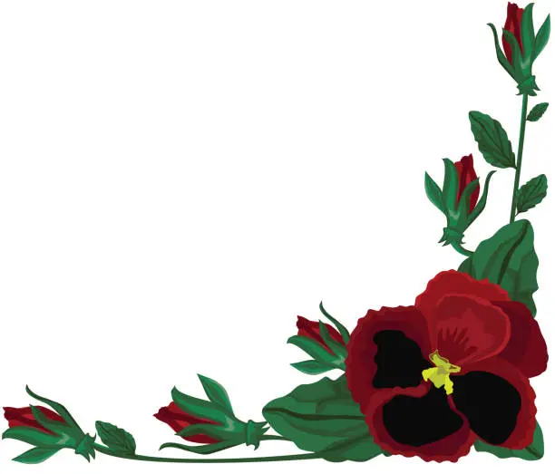 Vector illustration of Pansy Floral Element, Deep Red