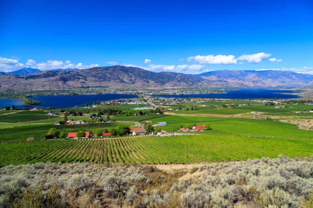 istock Osoyoos Lake Okanagan Valley Landscape 1353513762