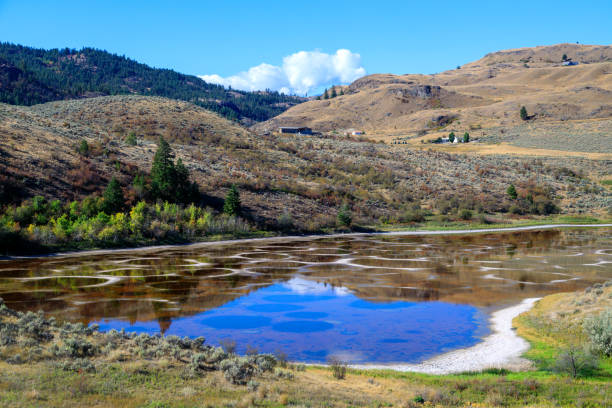 istock Spotted Lake Okanagan Valley Osoyoos 1353513858