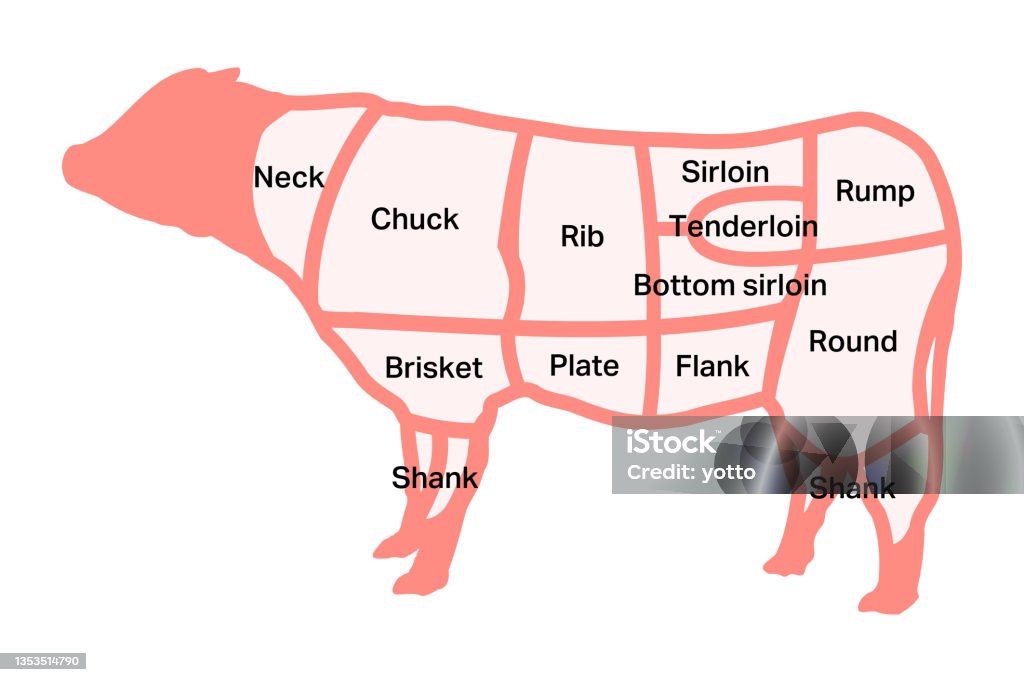Beef Fall Which Part Beef Portion Map Isolated Vector Illustration Stock Illustration ...