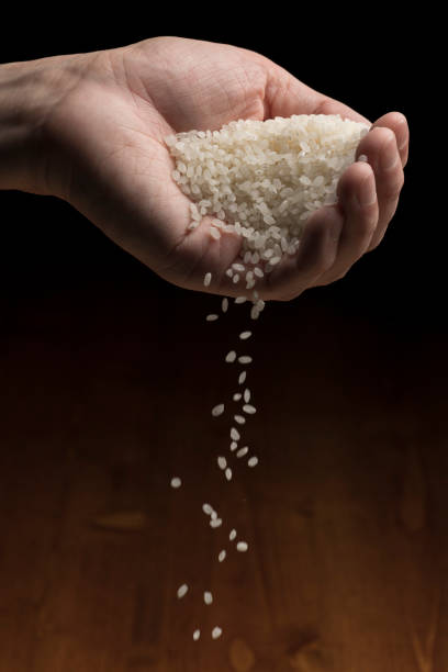 istock A man is holding rice in his hand. 1353517555