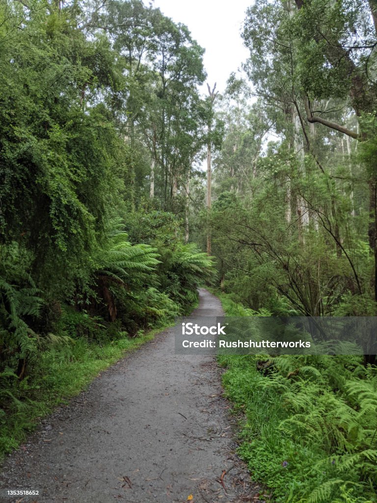 Kokoda Track Memorial Walk, Dandenong Ranges, Victoria, Australia Dandenong Ranges National Park Australia Stock Photo