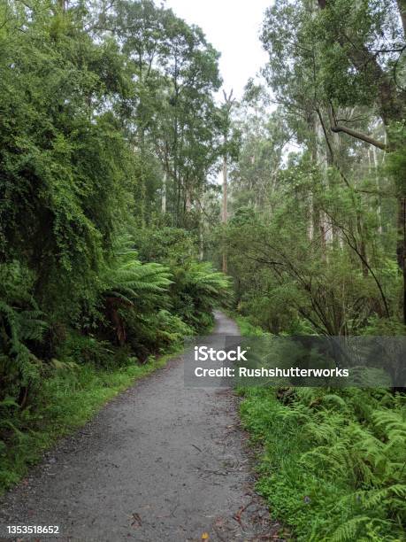 Kokoda Track Memorial Walk Dandenong Ranges Victoria Australia Stock Photo - Download Image Now